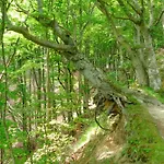 Appartement Ostseeglueck - Am Rande Des Nationalparks *