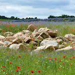 Ostseeglueck - Am Rande Des Nationalparks Hagen (Rugen)