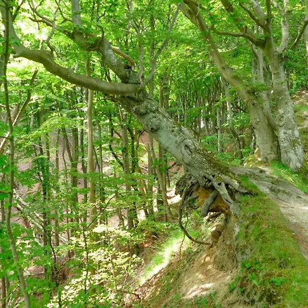 Appartamento Ostseeglueck - Am Rande Des Nationalparks *
