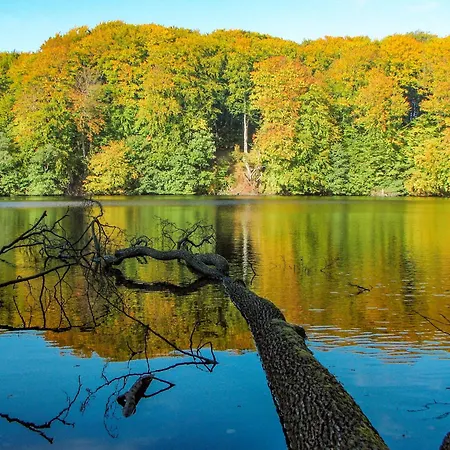 Ostseeglueck - Am Rande Des Nationalparks